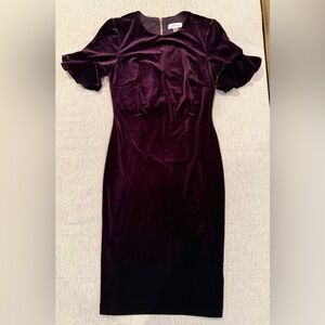 Calvin Klein Plum Crushed Velvet Dress Size 2